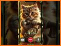 New fake Angela_Cartoon Cat call related image