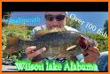 Wilson Lake Alabama GPS Charts related image
