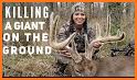 Grand Deer Hunting 2019 related image