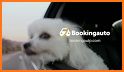 Bookingautos - car rental related image