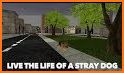 Stray Dog Simulator related image