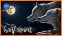 Wolf Of Spirit related image