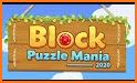 Block Puzzle Mania 2020 related image