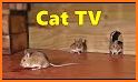 CatMouse TV - Watch Movies and TV shows online related image