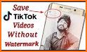 Video Downloader Plus for TikTok : No Watermark related image
