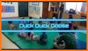 Goose Race - Duck Race - The Nice Game related image