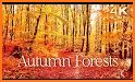 Forestpals Autumn related image