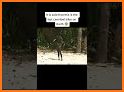 Island Capture related image