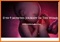 The Positive Pregnancy Journey related image
