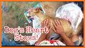 DOG HEART related image
