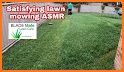 Grass Cut ASMR related image