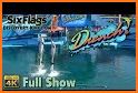 Dolphin Water Show related image