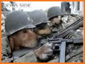 Animals War - Dog vs Cat Special related image