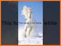 My Wild Horse Riding Stories related image