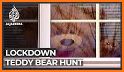 Teddy Hunt - discover teddy bear stories related image