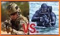 Special Forces Combat - Seals & Rangers related image