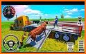 Animal Transport Truck Games related image