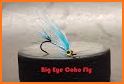 Big-Eye Fly related image