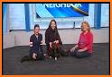 The Pet Stop AK related image