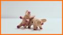 Toss the Pigs - Fun Dice Game related image