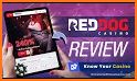 Red Dog Casino Mobile Game related image