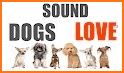 Dog Sounds related image