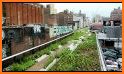 High Line related image