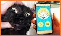 Cat Translate: Speak to your Kitten (simulator) related image