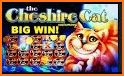 Treasure Cat Casino related image