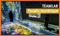 teamLab related image