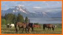 Grand Teton GyPSy Drive Tour related image