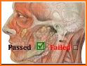 Advanced Physiology and Pathophysiology Exam : Q&A related image