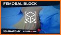 NYSORA Nerve Blocks related image
