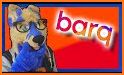 barq related image