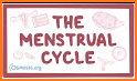28 Menstrual Cycle Wellness related image