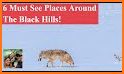 Black Hills Badlands Mount Rushmore GyPSy Guide related image