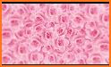 Pink Rose Pedals Keyboard Background related image