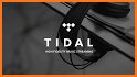 TIDAL - High Fidelity Music Streaming related image