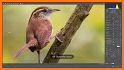 3D Wildlife Animal Photo Editor : Wild HD Frames related image