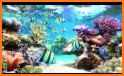 Coral Reef Fish Aquarium Sim related image