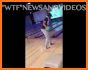 Bowling Breaks related image
