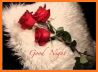 Good Night Flowers related image