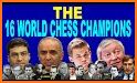 Undefeated Champions Of Chess related image