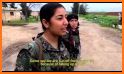 YPJ related image