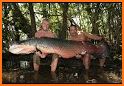 Mancing Amazon related image