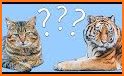 Guess the animal name, Learning the animal related image