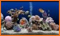3D marine aquarium related image