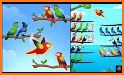 Bird Sort - Color Puzzle related image