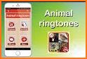 animal sounds for phone, animal ringtones app related image