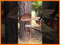 Tree Cut related image